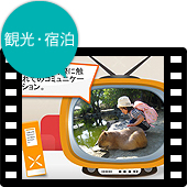 業種別活用ガイド：観光・宿泊